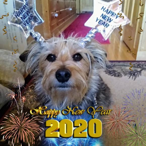 Meet your Posher, Lisa - Picture 1 of 1